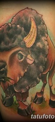 фото тату буйвол от 16.04.2018 №048 — Buffalo Tattoo — tatufoto.com