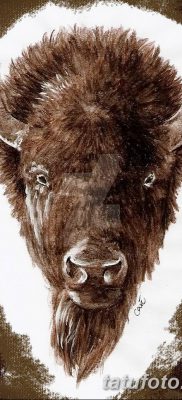 фото тату буйвол от 16.04.2018 №049 — Buffalo Tattoo — tatufoto.com