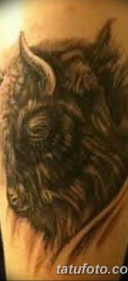фото тату буйвол от 16.04.2018 №054 — Buffalo Tattoo — tatufoto.com