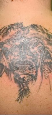 фото тату буйвол от 16.04.2018 №058 — Buffalo Tattoo — tatufoto.com