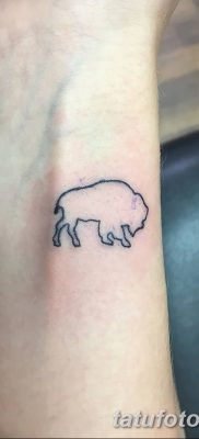 фото тату буйвол от 16.04.2018 №060 — Buffalo Tattoo — tatufoto.com