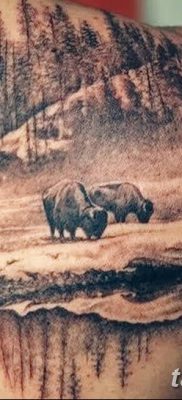 фото тату буйвол от 16.04.2018 №068 — Buffalo Tattoo — tatufoto.com