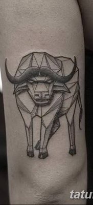 фото тату буйвол от 16.04.2018 №069 — Buffalo Tattoo — tatufoto.com