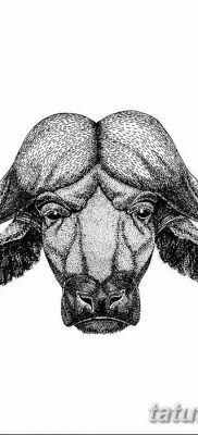 фото тату буйвол от 16.04.2018 №076 — Buffalo Tattoo — tatufoto.com
