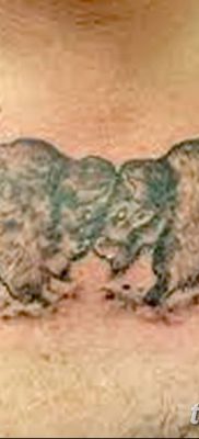 фото тату буйвол от 16.04.2018 №078 — Buffalo Tattoo — tatufoto.com
