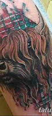 фото тату буйвол от 16.04.2018 №079 — Buffalo Tattoo — tatufoto.com