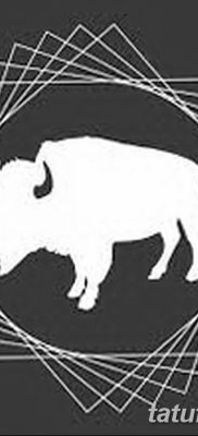 фото тату буйвол от 16.04.2018 №084 — Buffalo Tattoo — tatufoto.com