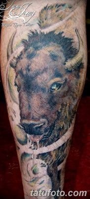 фото тату буйвол от 16.04.2018 №098 — Buffalo Tattoo — tatufoto.com