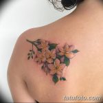 фото тату жасмин от 22.04.2018 №050 - tattoo jasmine - tatufoto.com