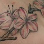 фото тату жасмин от 22.04.2018 №058 - tattoo jasmine - tatufoto.com