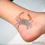 фото тату краб от 18.04.2018 №013 - tattoo crab - tatufoto.com