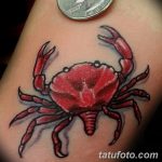 фото тату краб от 18.04.2018 №014 - tattoo crab - tatufoto.com