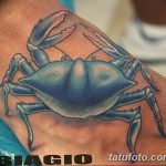 фото тату краб от 18.04.2018 №065 - tattoo crab - tatufoto.com