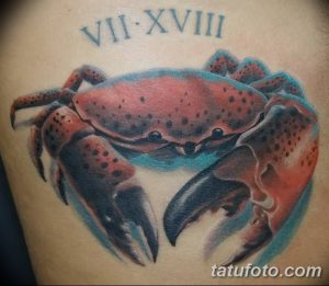 Фото тату реалистичного краба на руке, с детально прорисованными клешнями и панцирем, над которым расположены римские цифры VII-XVIII.