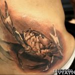 фото тату краб от 18.04.2018 №105 - tattoo crab - tatufoto.com