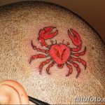 фото тату краб от 18.04.2018 №142 - tattoo crab - tatufoto.com