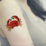 фото тату краб от 18.04.2018 №149 - tattoo crab - tatufoto.com