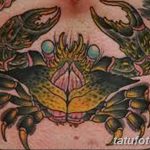 фото тату краб от 18.04.2018 №151 - tattoo crab - tatufoto.com