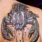 фото тату краб от 18.04.2018 №158 - tattoo crab - tatufoto.com