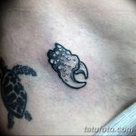 фото тату краб от 18.04.2018 №186 - tattoo crab - tatufoto.com