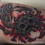 фото тату краб от 18.04.2018 №205 - tattoo crab - tatufoto.com