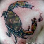 фото тату краб от 18.04.2018 №207 - tattoo crab - tatufoto.com