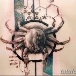 фото тату краб от 18.04.2018 №232 - tattoo crab - tatufoto.com