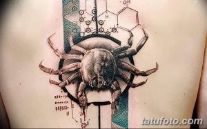 Фото тату: реалистичная татуировка паука на фоне молекулярной структуры. Детализированный рисунок в черно-серых тонах с элементами синего и красного.