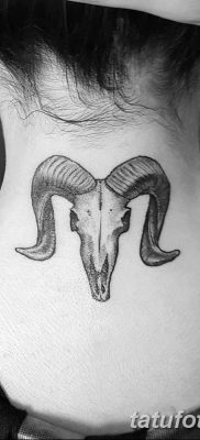 фото тату рога от 24.04.2018 №005 — tattoo horn — tatufoto.com
