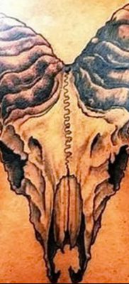 фото тату рога от 24.04.2018 №009 — tattoo horn — tatufoto.com