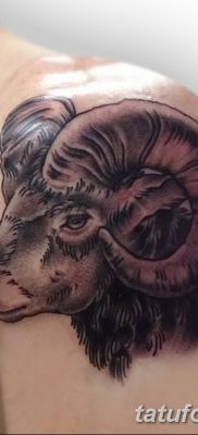 фото тату рога от 24.04.2018 №013 — tattoo horn — tatufoto.com