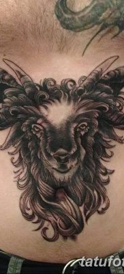 фото тату рога от 24.04.2018 №014 — tattoo horn — tatufoto.com