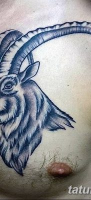 фото тату рога от 24.04.2018 №055 — tattoo horn — tatufoto.com