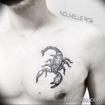 фото тату скорпион от 24.04.2018 №002 - tattoo scorpion - tatufoto.com