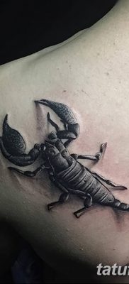 фото тату скорпион от 24.04.2018 №003 — tattoo scorpion — tatufoto.com