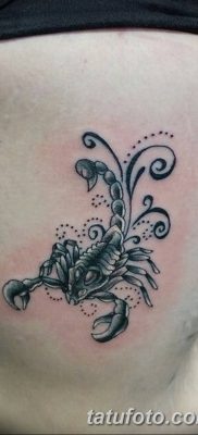 фото тату скорпион от 24.04.2018 №005 — tattoo scorpion — tatufoto.com