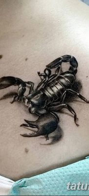 фото тату скорпион от 24.04.2018 №008 — tattoo scorpion — tatufoto.com