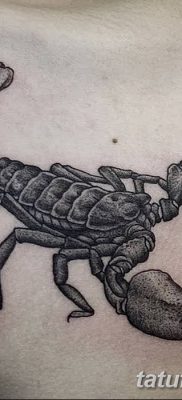 фото тату скорпион от 24.04.2018 №009 — tattoo scorpion — tatufoto.com