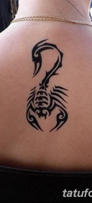 фото тату скорпион от 24.04.2018 №012 — tattoo scorpion — tatufoto.com