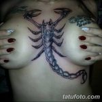 фото тату скорпион от 24.04.2018 №014 - tattoo scorpion - tatufoto.com