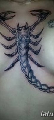 фото тату скорпион от 24.04.2018 №014 — tattoo scorpion — tatufoto.com