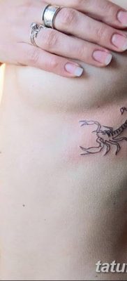 фото тату скорпион от 24.04.2018 №017 — tattoo scorpion — tatufoto.com