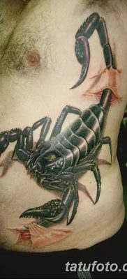 фото тату скорпион от 24.04.2018 №020 — tattoo scorpion — tatufoto.com