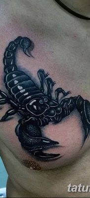 фото тату скорпион от 24.04.2018 №021 — tattoo scorpion — tatufoto.com