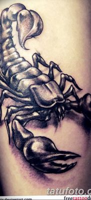 фото тату скорпион от 24.04.2018 №022 — tattoo scorpion — tatufoto.com