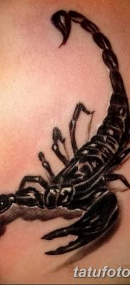 фото тату скорпион от 24.04.2018 №024 — tattoo scorpion — tatufoto.com