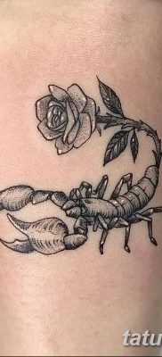 фото тату скорпион от 24.04.2018 №026 — tattoo scorpion — tatufoto.com