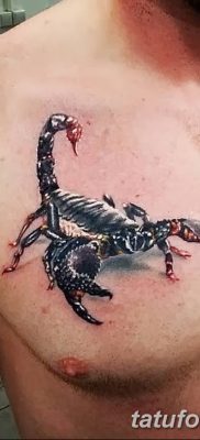 фото тату скорпион от 24.04.2018 №029 — tattoo scorpion — tatufoto.com