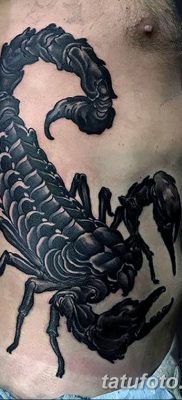 фото тату скорпион от 24.04.2018 №030 — tattoo scorpion — tatufoto.com