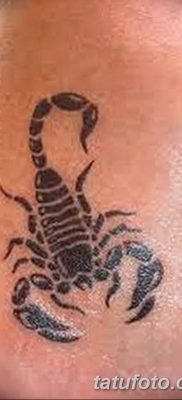 фото тату скорпион от 24.04.2018 №032 — tattoo scorpion — tatufoto.com